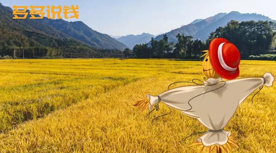 北交所资金打新流程,北交所第一批打新技巧