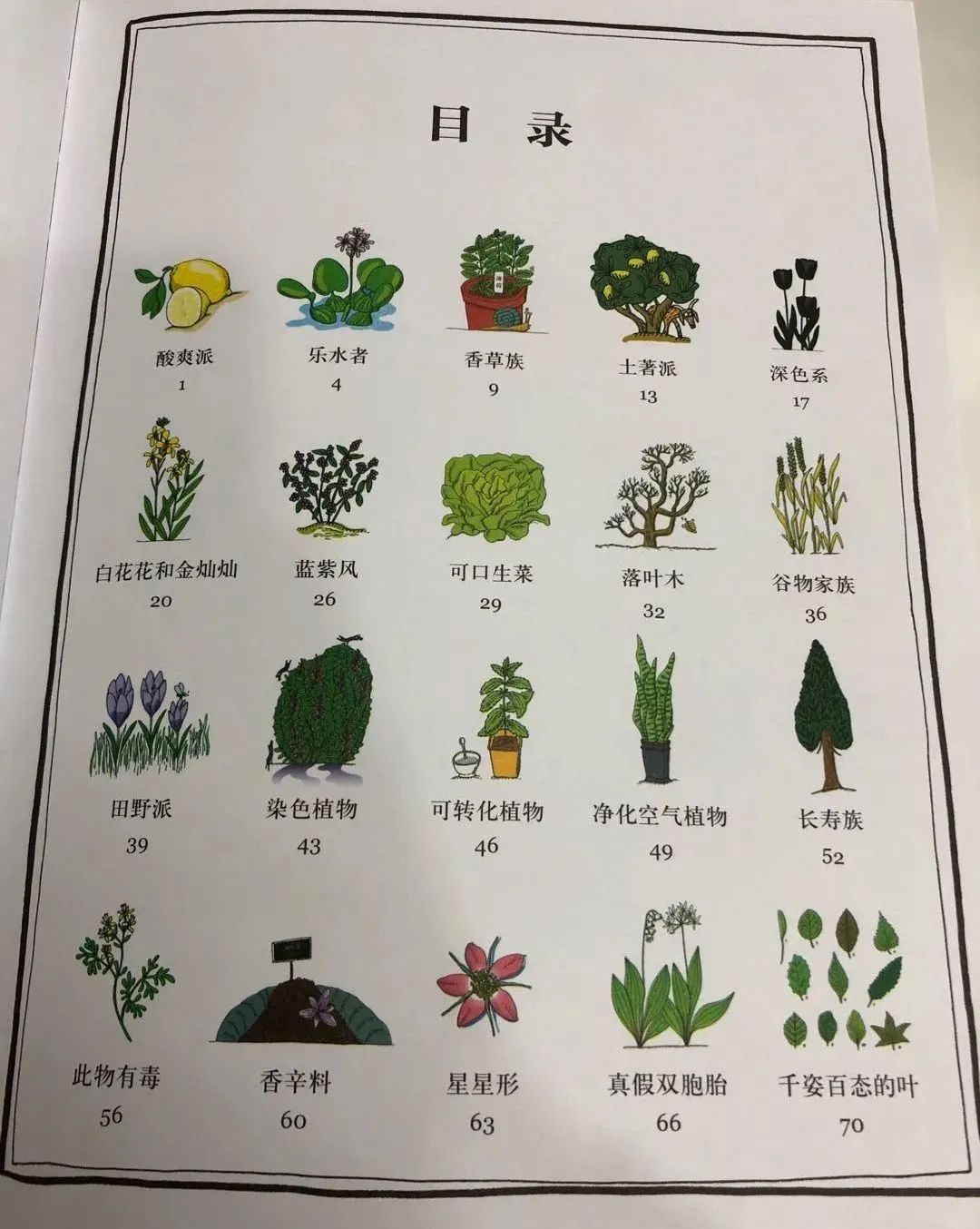 果实有毒的植物有哪些,最毒的植物水果