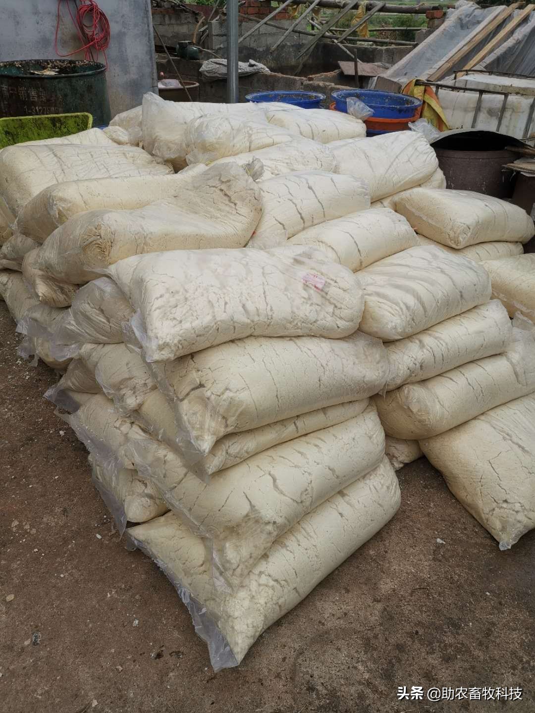 发酵饲料和全价饲料的优势,发酵饲料氨基酸含量高吗