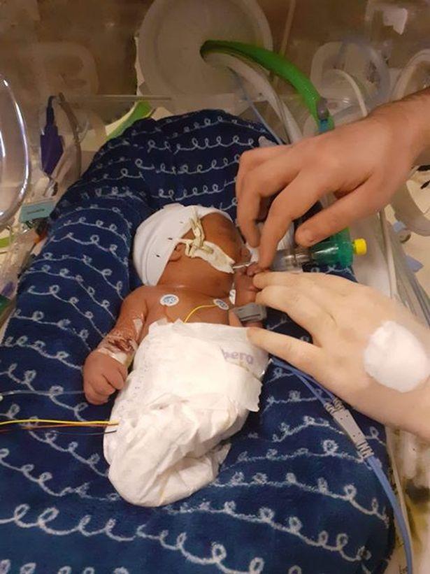 人鱼宝宝的降生,人鱼宝宝长大后图片