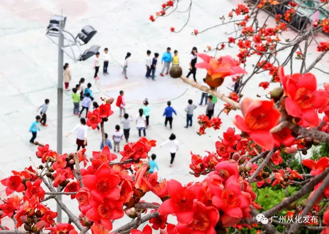 宜居宜业旅游攻略,广州从化的宜居小镇