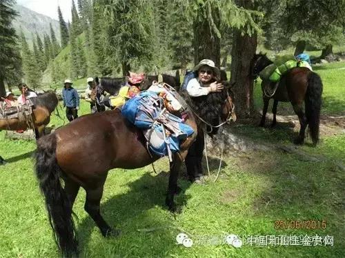 玛纳斯探奇之旅,新疆探秘伊犁