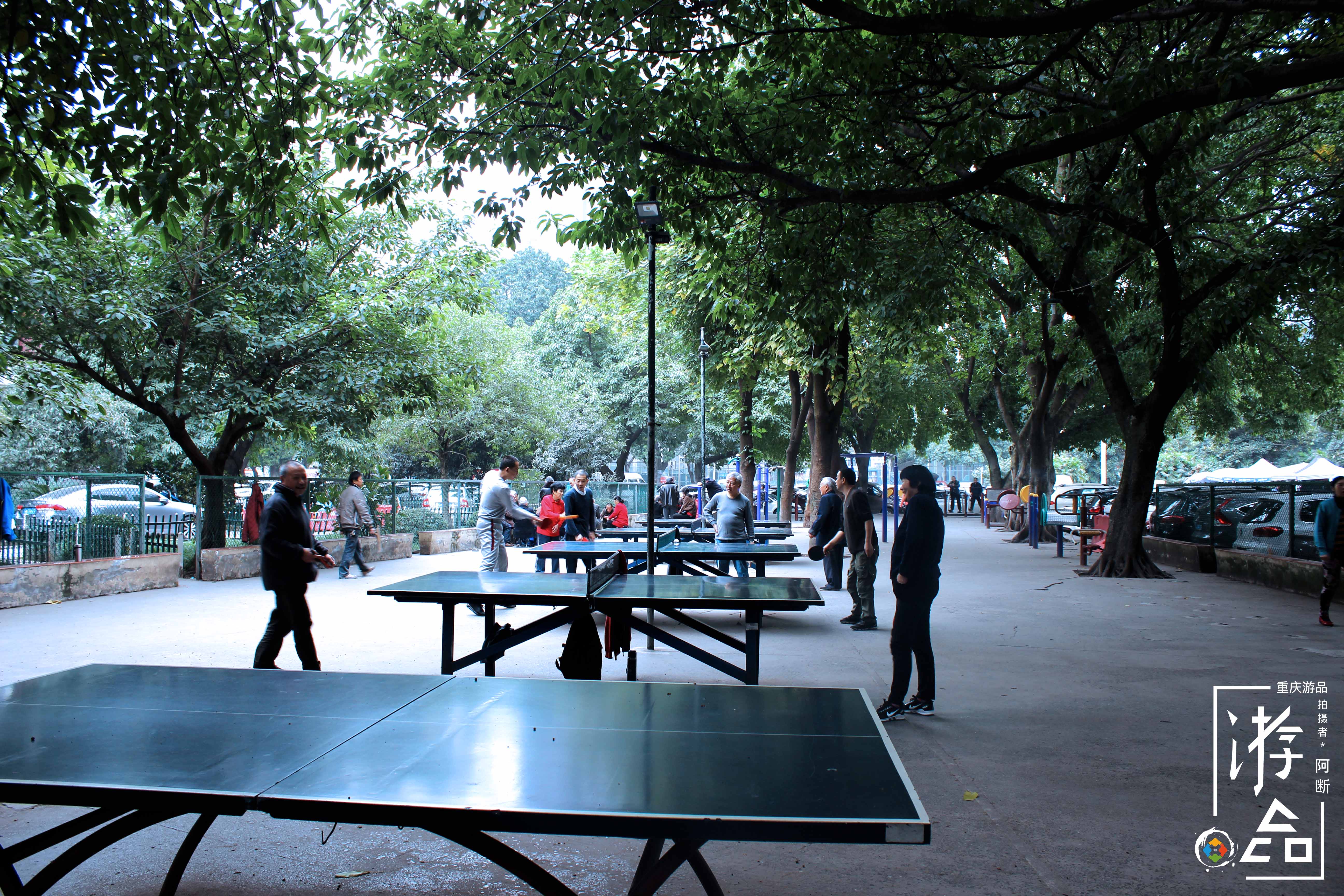 重庆大田湾体育场最新消息,重庆大田湾体育场焕然一新