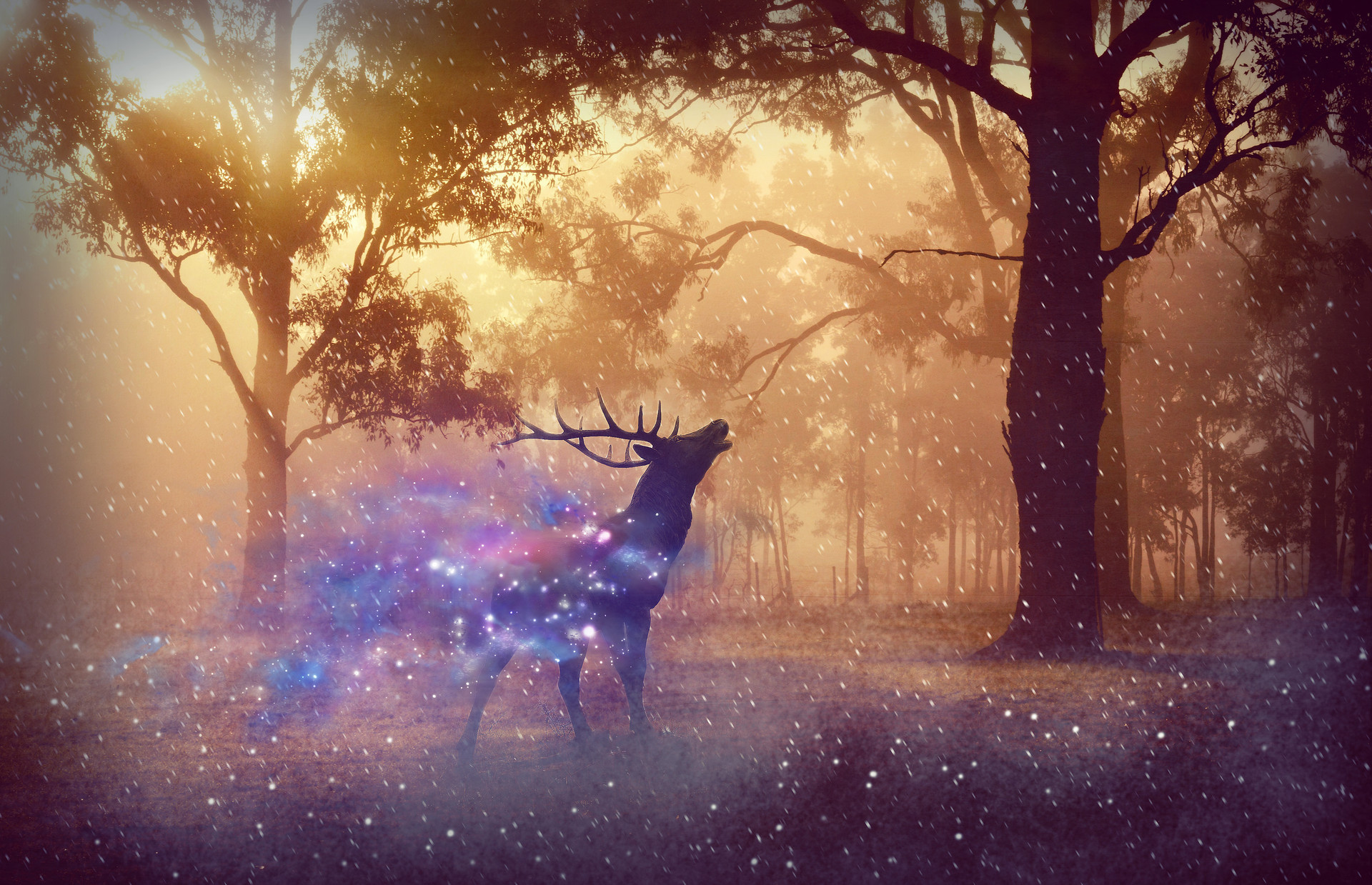 男人跟前任联系是什么心理,男人跟前任和好怎么挽回