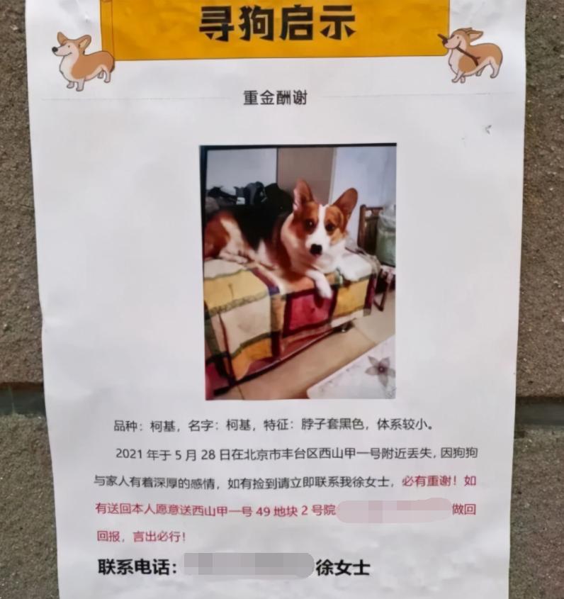 寻狗赠送北京一套房物业回应,寻狗赠房