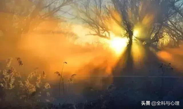 充实生命能量的两种觉悟方法,生命能量和力量