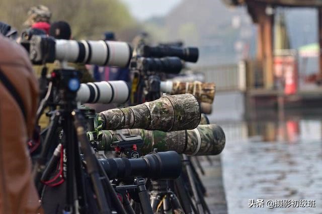 拍鸟悬停如何拍,山野鸟趣野外拍鸟