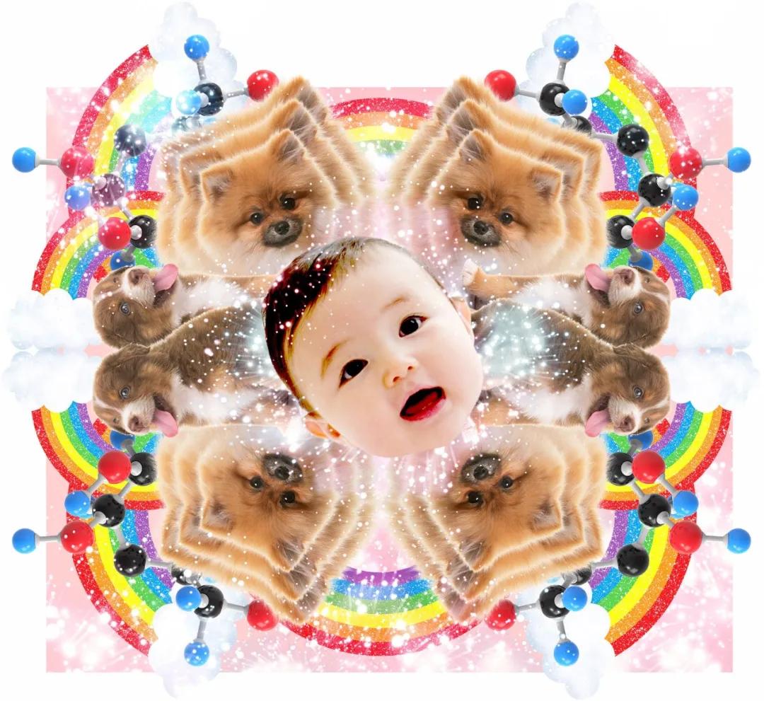 纽约时报去年的文章,纽约时报年度最佳图书