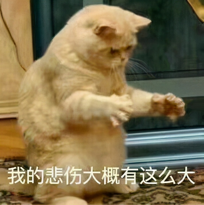 鍖楁紓閬囧埌鐨勫钁╀簨,鍖楁紓璺笂閬囧埌鐨勫钁╀簨