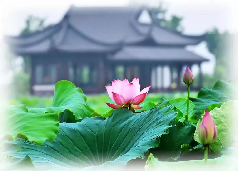 武汉21个免费景点,武汉43个免费景点出炉