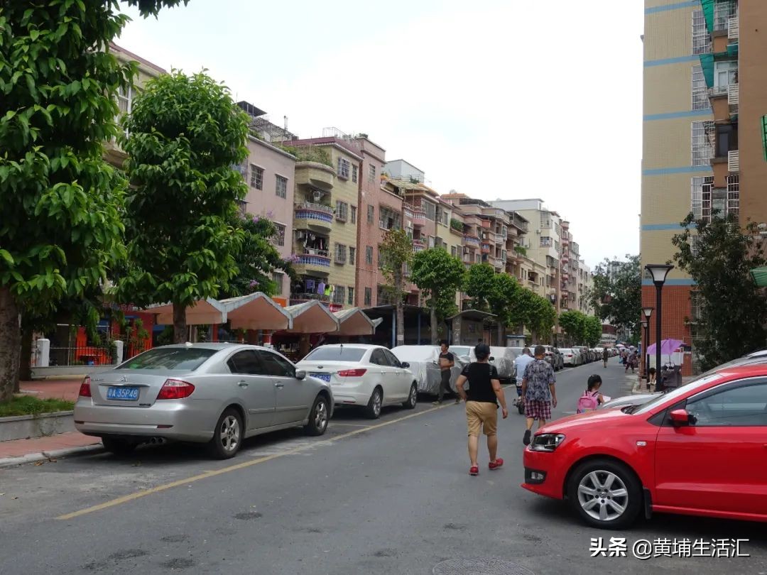 黄埔区怡园小学对应小区,广州黄埔怡园小学有什么楼盘