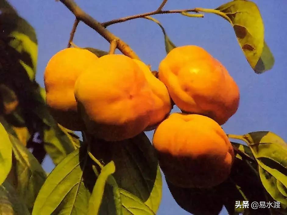 易县最美的游玩地方,易县好风光