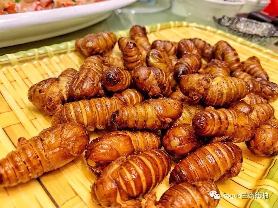 兰州好吃又实惠的海鲜,兰州值得推荐海鲜店