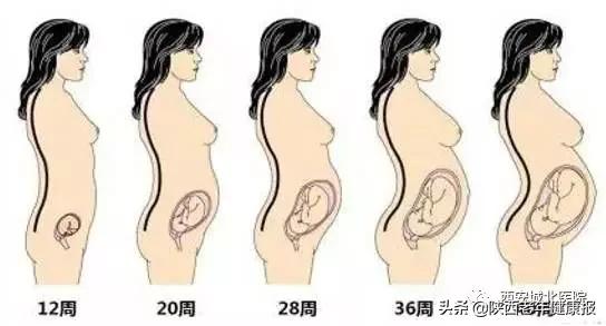 产后盆底康复的几大误区,产后恢复的误区视频