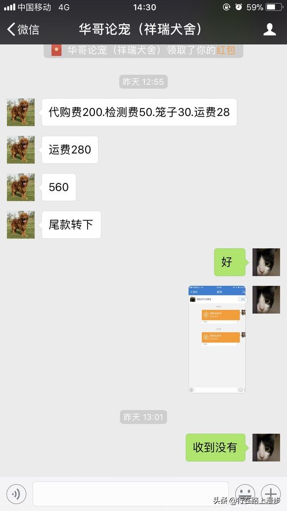 狗市直播代购靠谱吗,网上直播代购狗狗可靠吗
