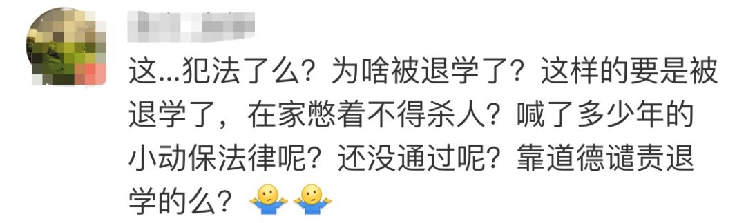 高校研究生杀流浪狗,成都高校研究生虐狗事件