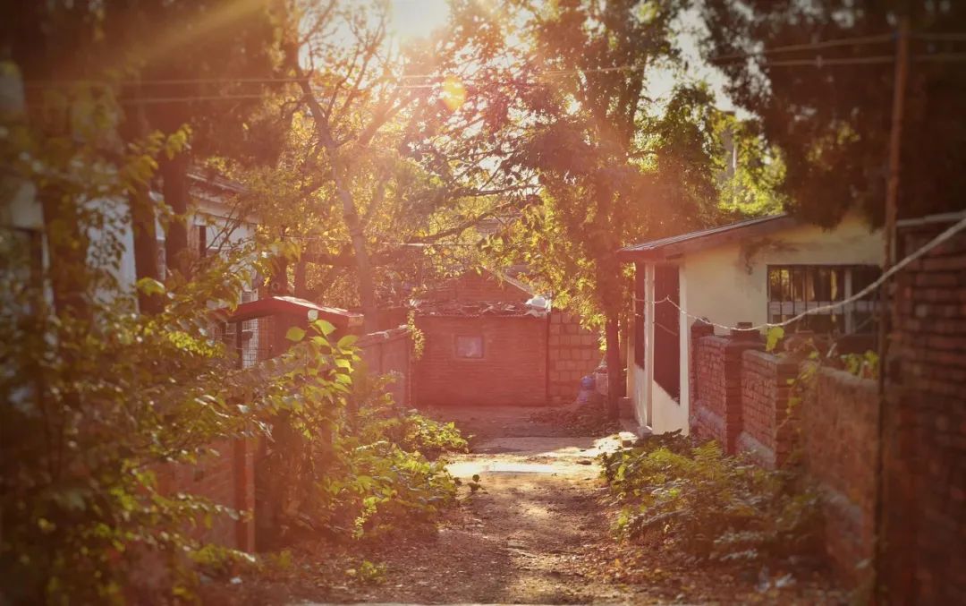 旅游三亚和厦门哪个更值得去,三亚和厦门哪一个更值得去旅游