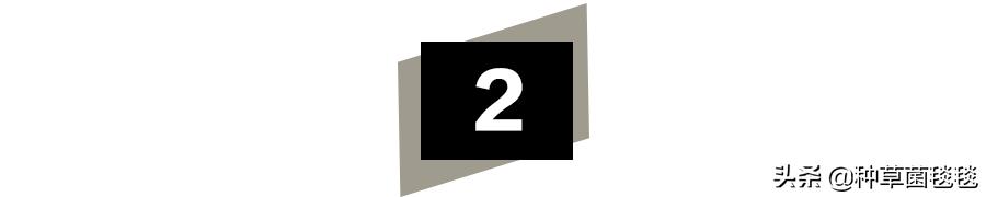 jennie杨幂包包,jennie杨幂宋茜