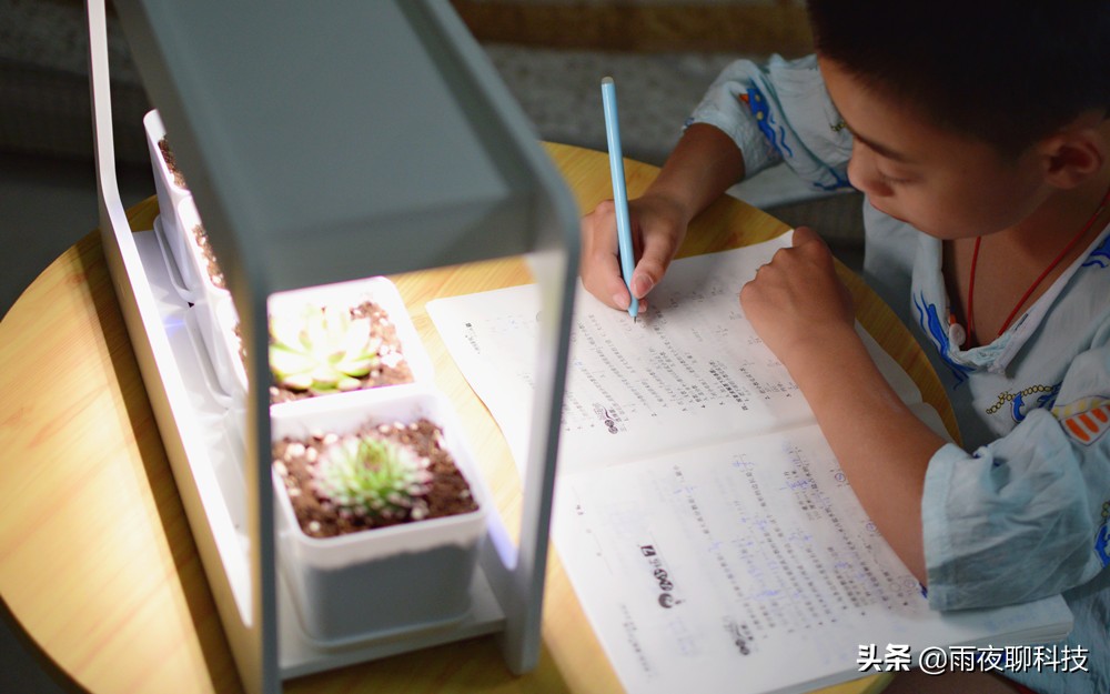 LED种植机体验：黑科技光谱养花，家里的多肉有救了