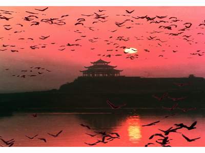 苏轼跟东坡肉有什么关系,苏轼是在什么情况下发明出东坡肉