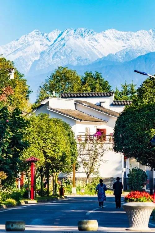 成都拍了拍你，一亿成都粉get心动讯息