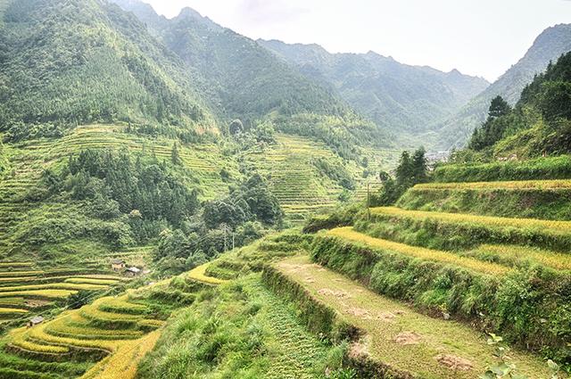 韶关丹霞梯田图片,韶关旅游梯田攻略图片