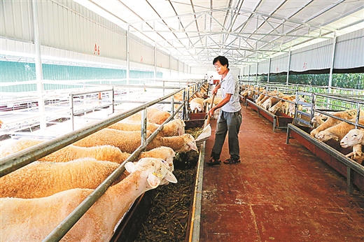 广西旅游攻略忻城,忻城土司文化旅游