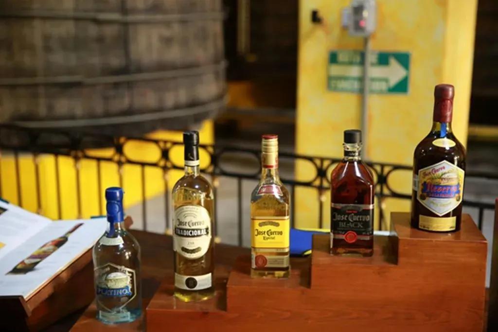 榫欒垖鍏伴┈鏂厠,椹柉鍏嬮緳鑸屽叞