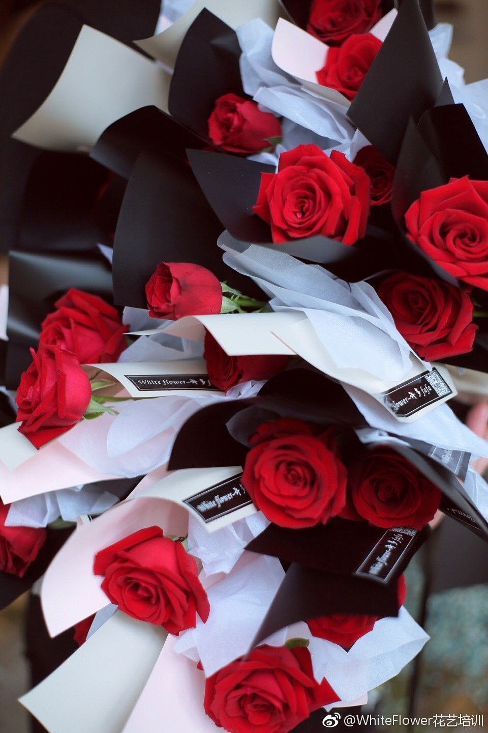 whiteflower闂ㄥ簵,whiteflower