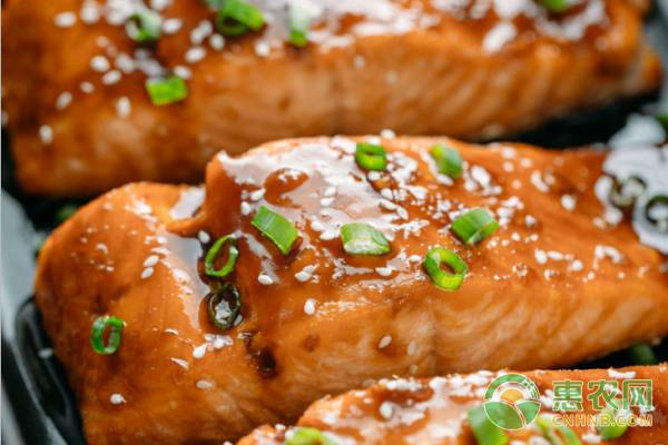 三文鱼价格最新行情走势,鲜三文鱼多少钱一斤整条