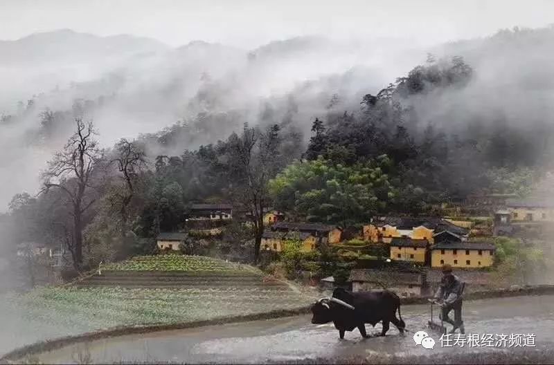 一切投资都应关注消费概念