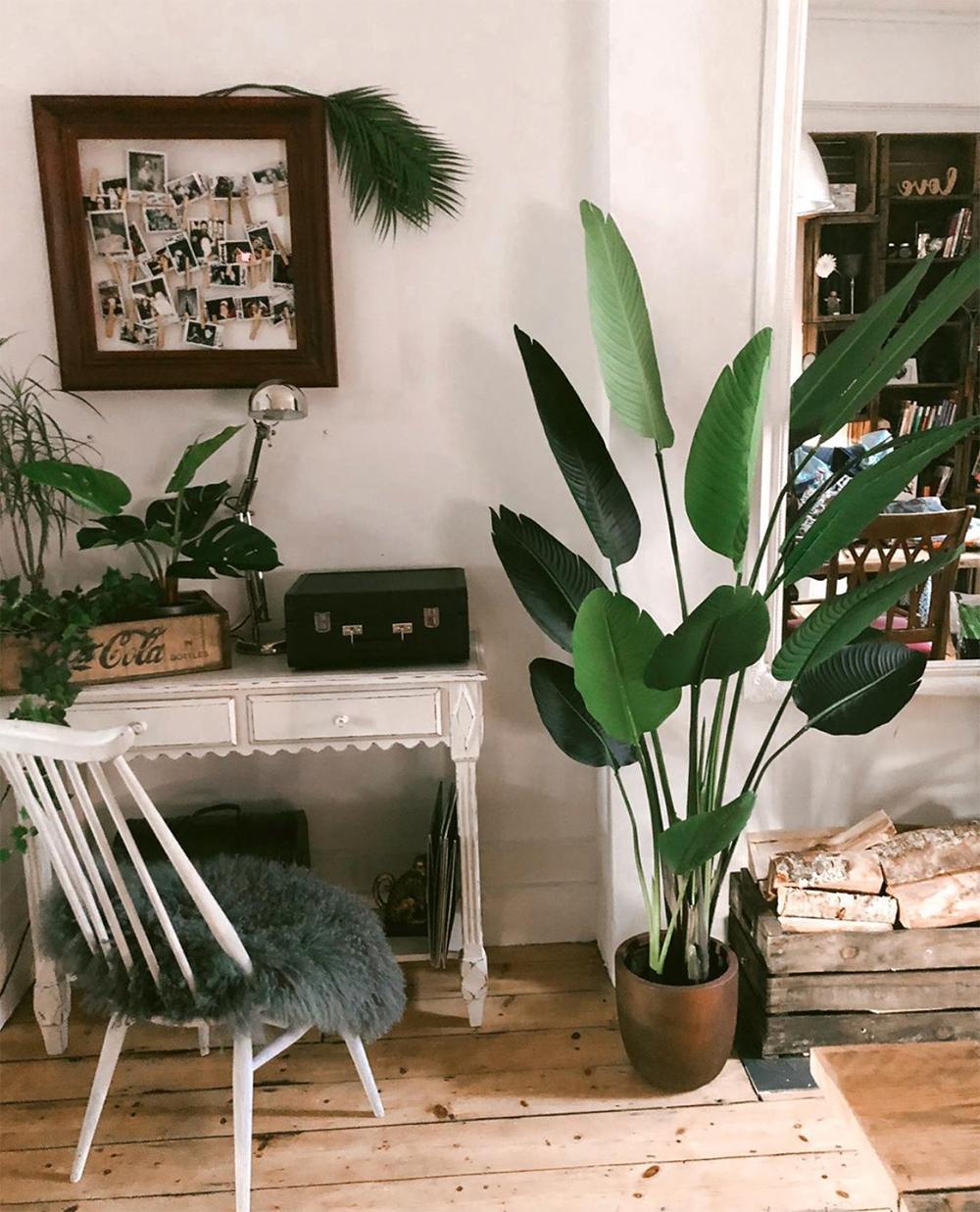 韩雪明星推荐好物,韩雪好物