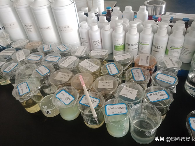 绿色无抗饲料齐鲁行之神牛药业：用制药工艺智造替抗精品