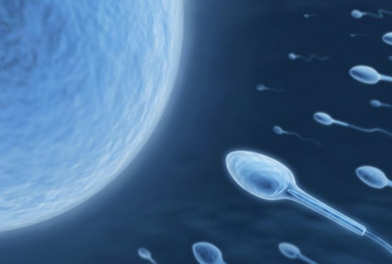 “精子”进入女人体内后,没有受精的都去了哪里?看完或许会明白