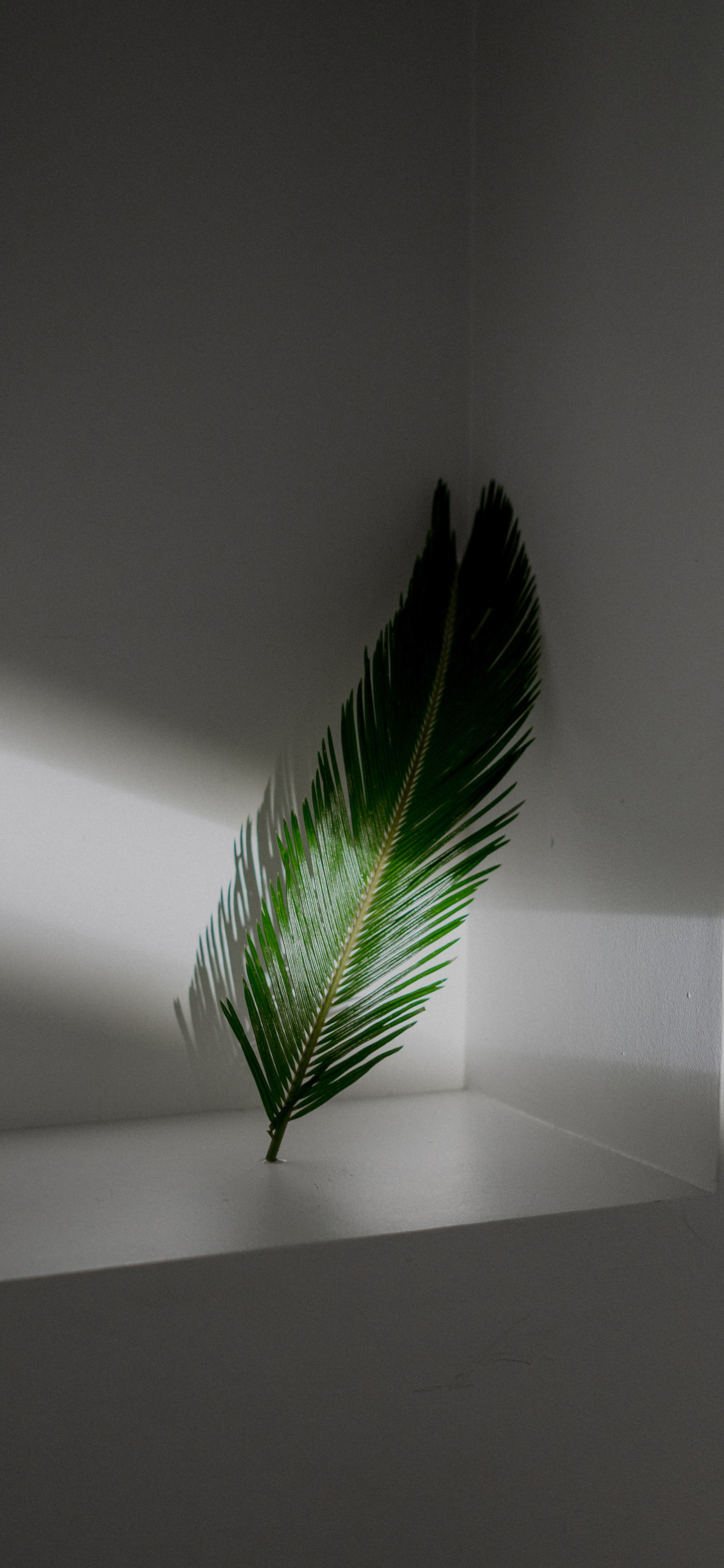 清晰到极致的手机壁纸图片,高清壁纸超清手机壁纸