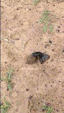 123go搞笑视频合集,搞笑合集39