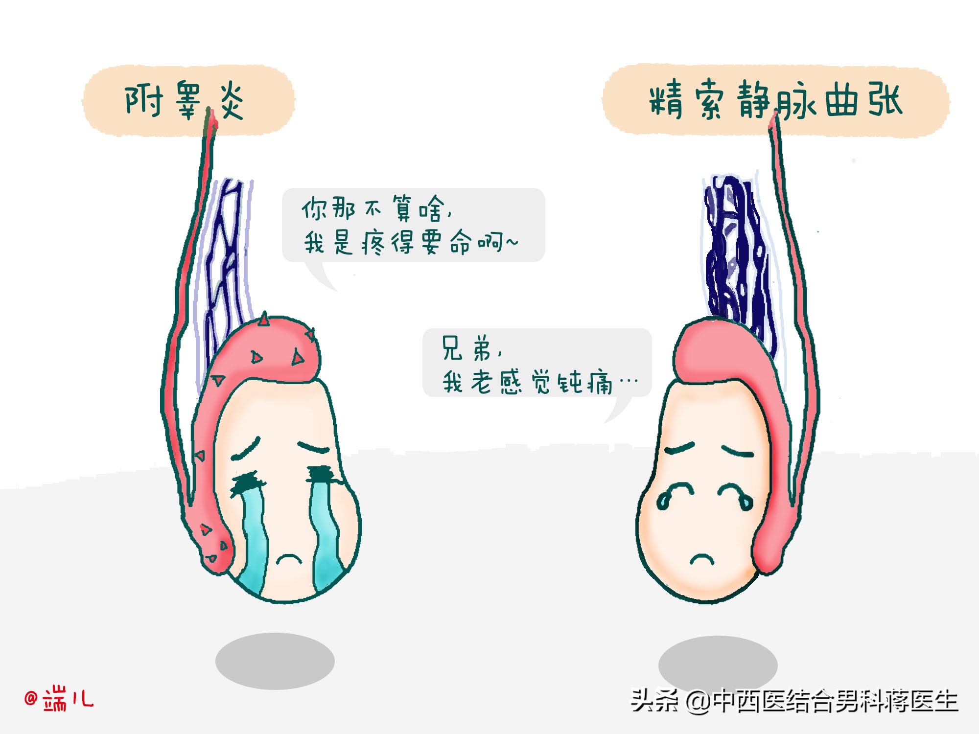 常见男科疾病误区,男科病症科普