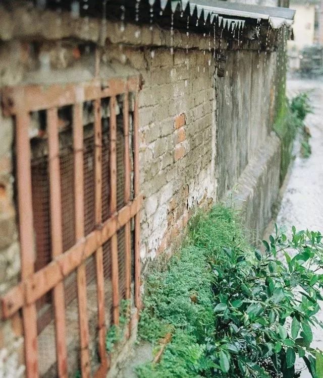 干货丨在广州来这拍照就对啦，制霸朋友圈从今天开始