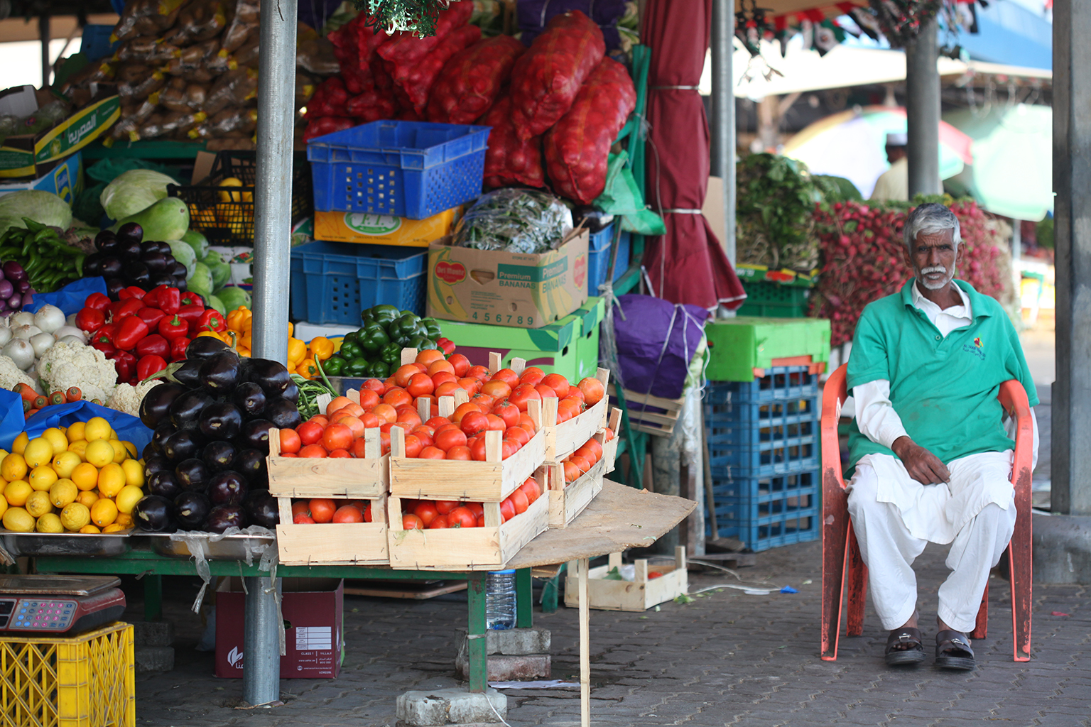 阿布扎比绿洲,阿布扎比土豪出行