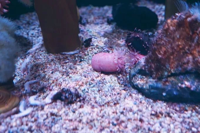 不一样的大阪三日游，瑠璃一束光，值得一来再来