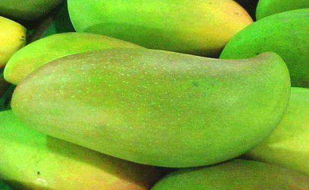 芒果黑心病怎么回事如何防治,芒果黑条病怎么治