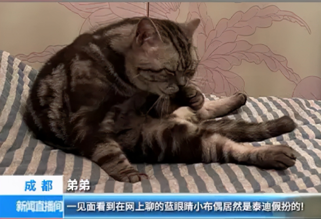 喜欢上了房东怎么办,喜欢上了房东该怎么办