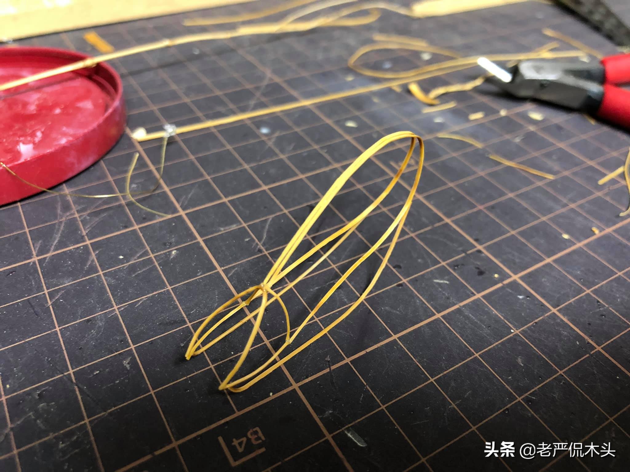 昆虫标本树脂竹节虫,昆虫标本制作竹节虫