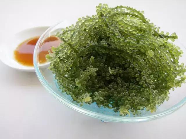 12月旅游日本冲绳最全攻略,春回大地旅游攻略