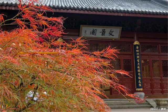 东晋寻求庇佑的寄子现象并不单纯,孩童只是权力争夺的棋子