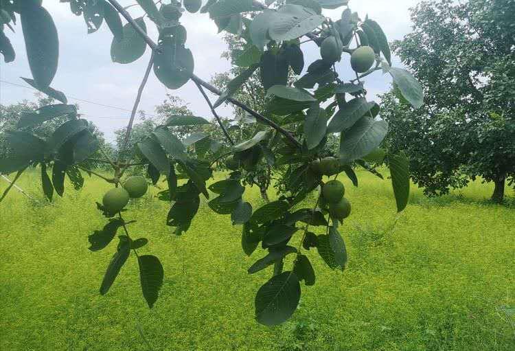 生态宜居家园风景,生态环境美丽家园