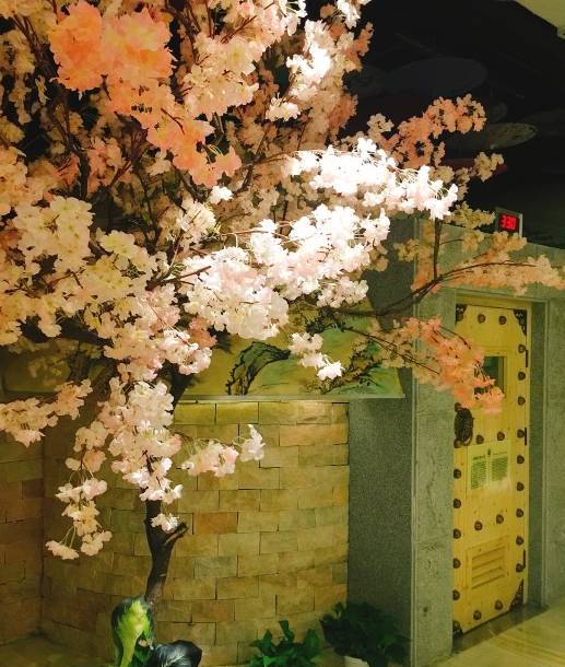 徐州最好的汗蒸生活馆,徐州阿特兰蒂斯汗蒸生活馆