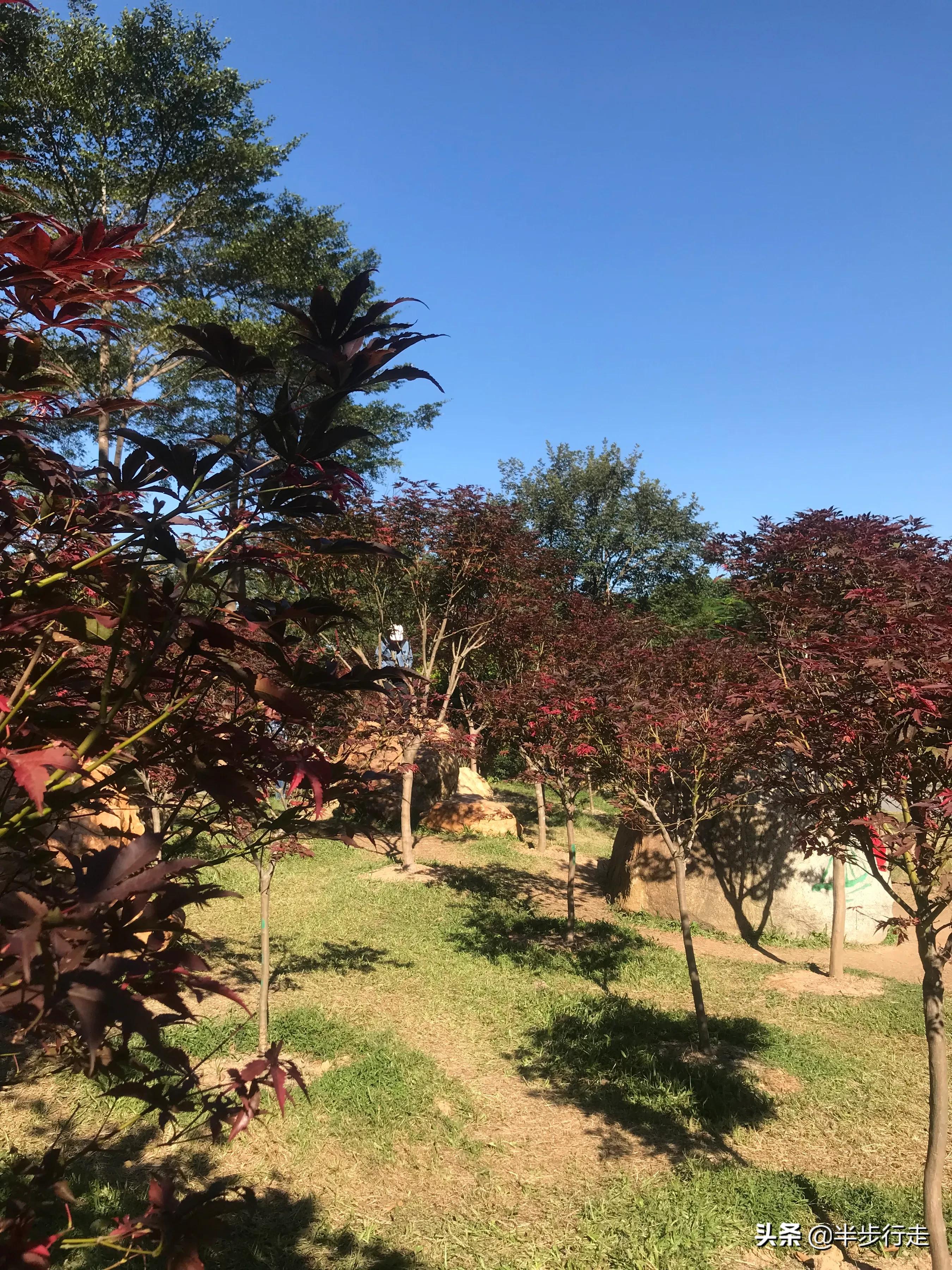 广州帽峰山自驾游攻略天氧山庄,广州帽峰山属于哪个区