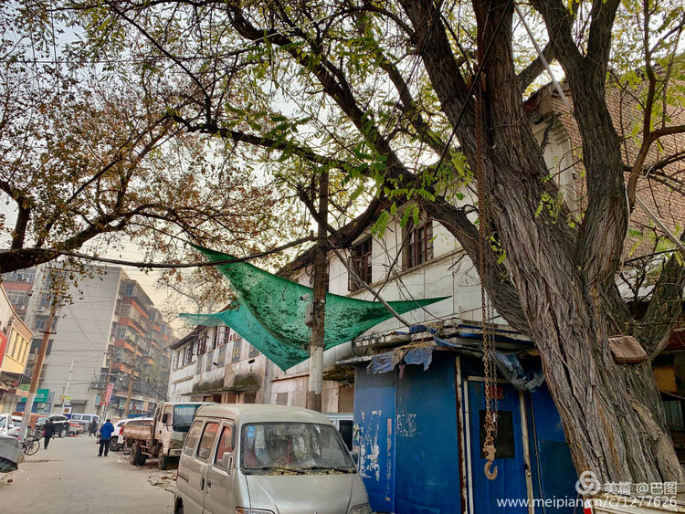 手机拍洛阳,涧西牡丹广场老照片