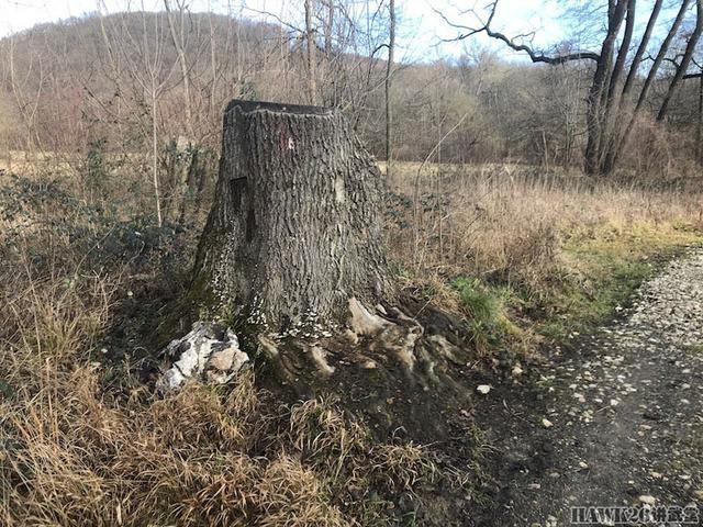 迷彩伪装效果图片,美军acu迷彩服伪装效果